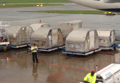 Cargo Passengers Cargo "passengers" ready to be loaded