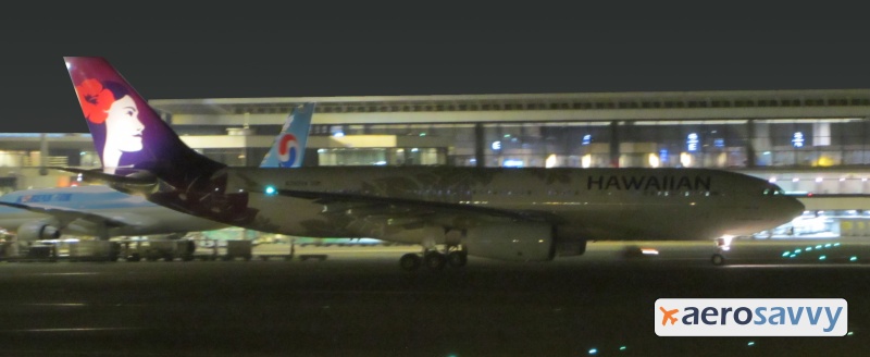 Hawaiian Airlines Logo Light - Savvy Passenger Guide to Airplane Lights- AeroSavvy